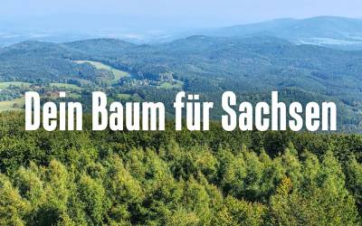 Mein Baum für Sachsen